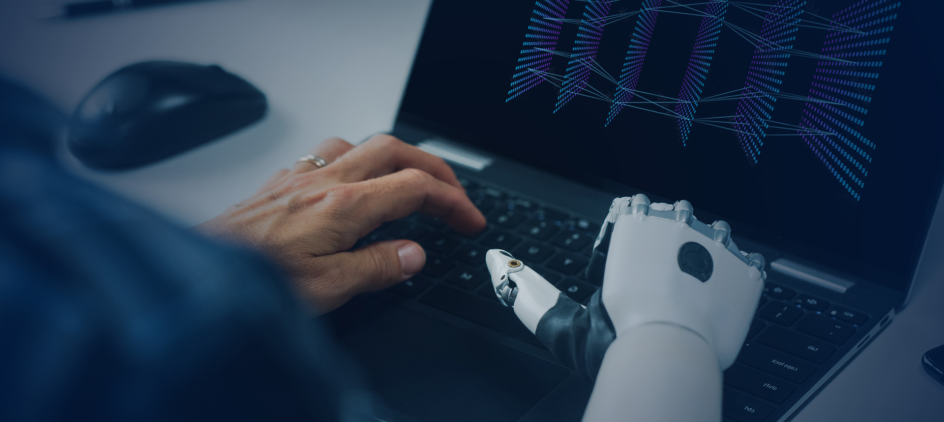 Professional and efficient team